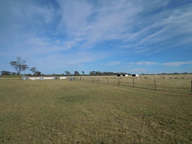 529 Pittsworth-Tummaville Road, Pittsworth QLD 4356