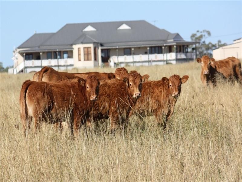 636 Old Elphinstone Road, Clifton QLD 4361