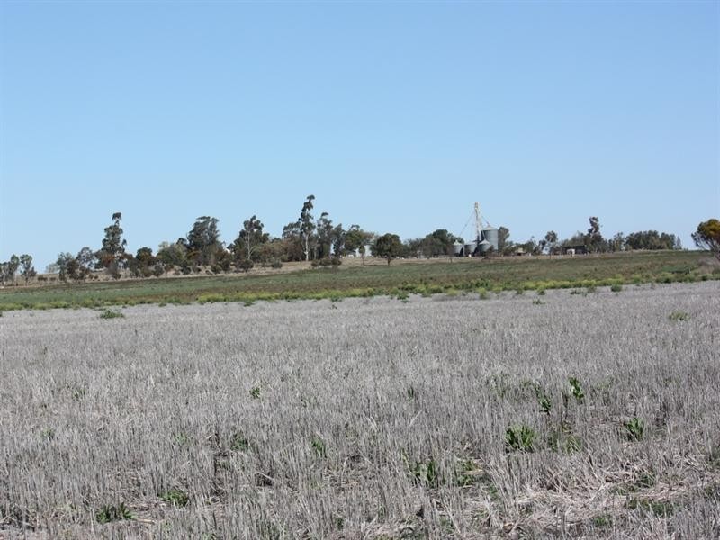 0 Evanslea Road, Jondaryan QLD 4403