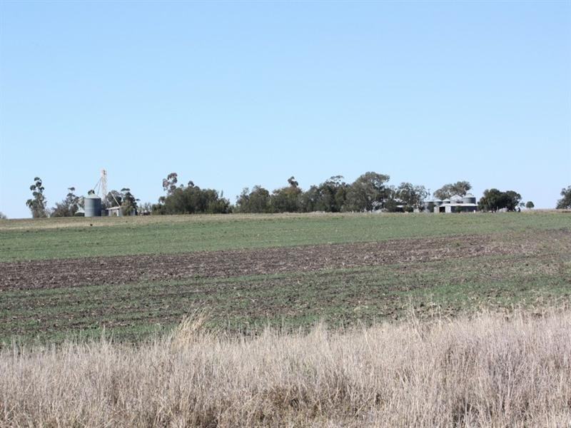 0 Evanslea Road, Jondaryan QLD 4403