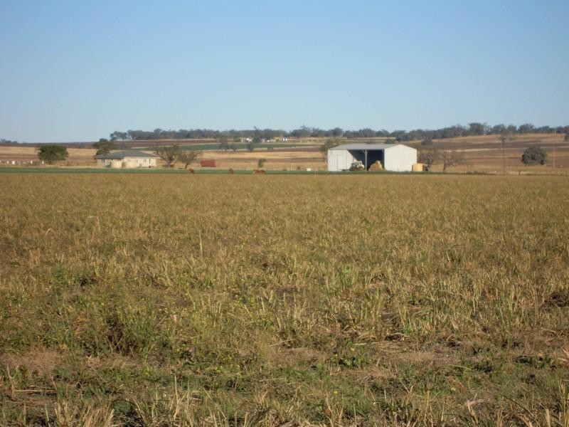 0 Old Elphinstone Road, Clifton QLD 4361