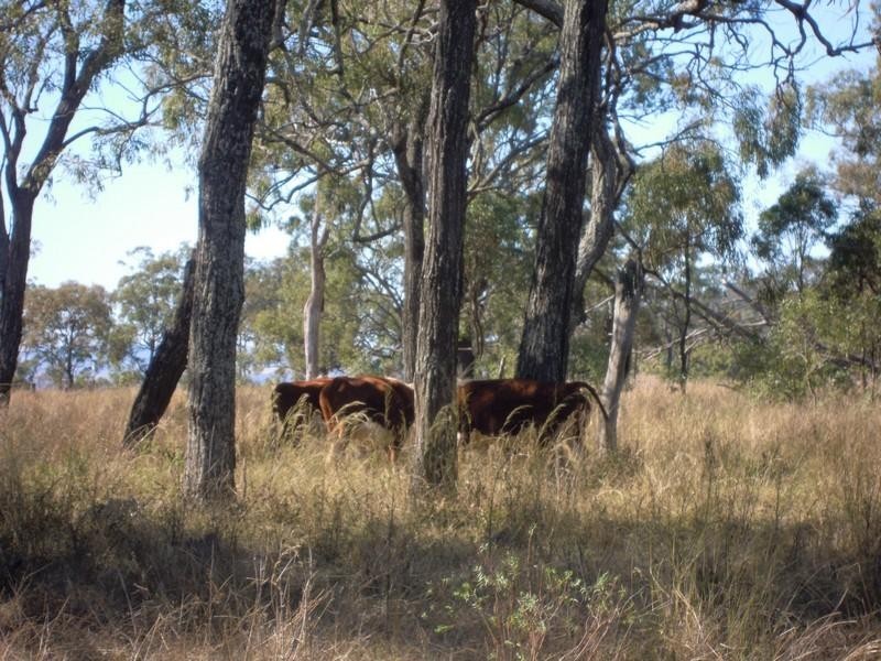 00 Wiemers Road, Southbrook QLD 4363