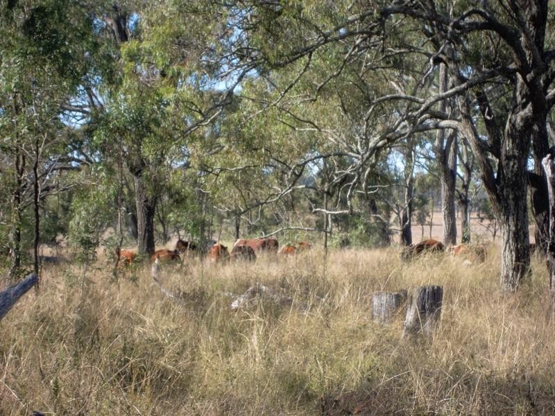 00 Wiemers Road, Southbrook QLD 4363