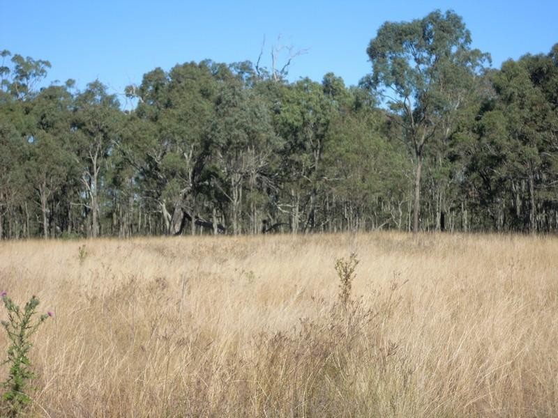 00 Wiemers Road, Southbrook QLD 4363