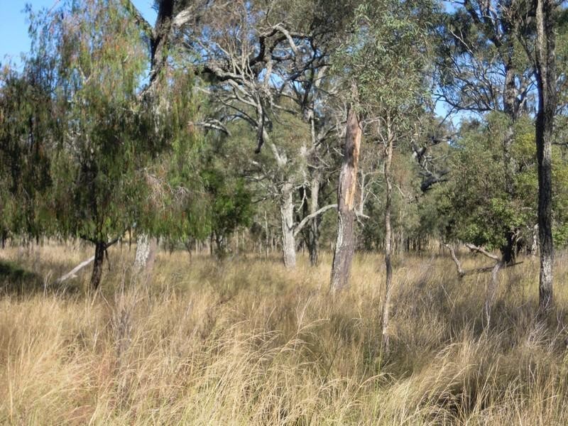 00 Wiemers Road, Southbrook QLD 4363