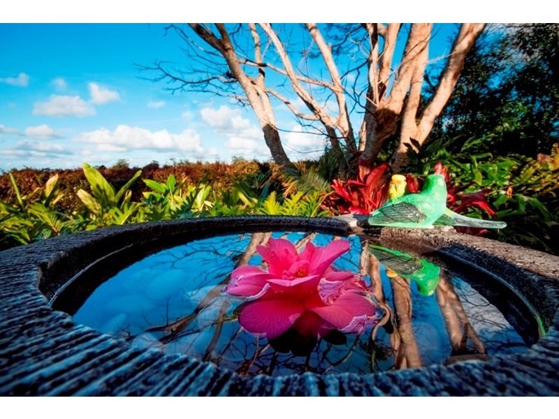 1 Panorama Place, Maleny QLD 4552