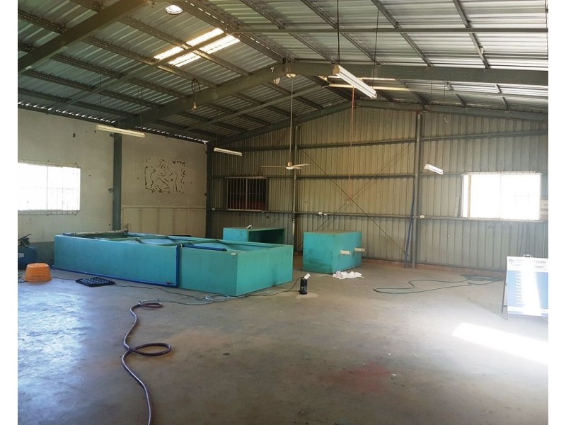 106 Grigor Street, Moffat Beach QLD 4551