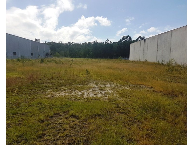 19 Enterprise Street, Caloundra West QLD 4551