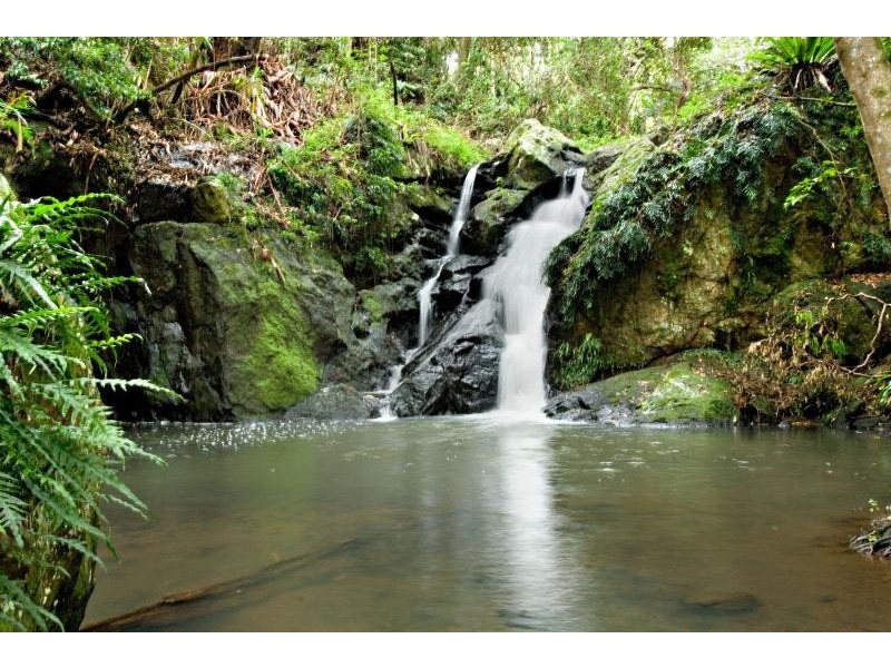 61 Kondalilla Falls Road, Montville QLD 4560