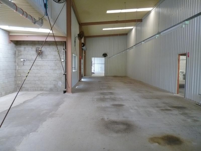 61 George Street, Moffat Beach QLD 4551