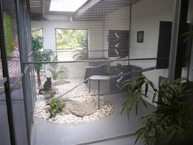 1 Rutters Road, Elimbah QLD 4516