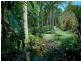 19 Hardwood Court, Buderim QLD 4556