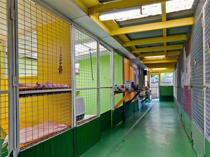 153 Grigor Street, Moffat Beach QLD 4551