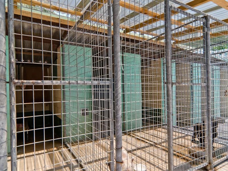 153 Grigor Street, Moffat Beach QLD 4551