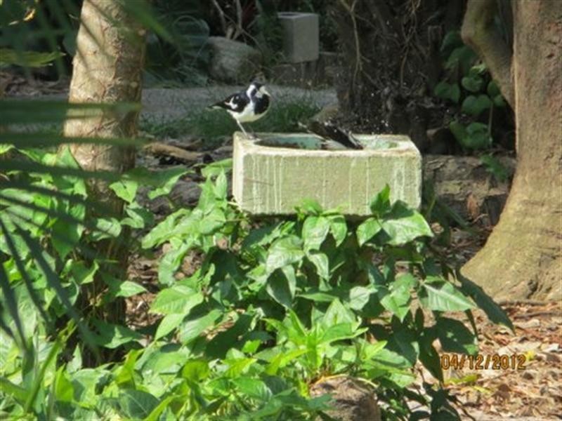 153 Grigor Street, Moffat Beach QLD 4551