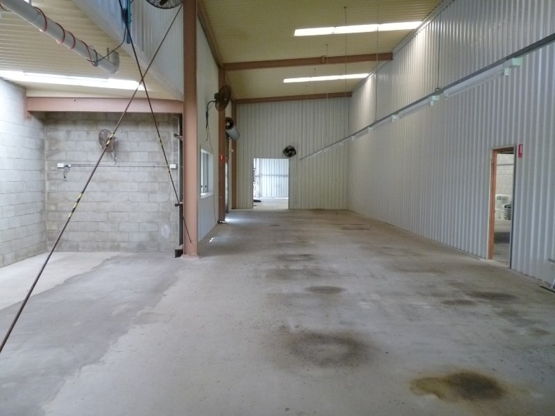 61 George Street, Moffat Beach QLD 4551