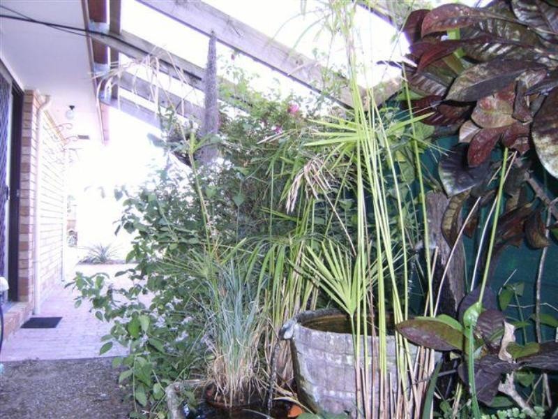 3 Regatta Boulevard, Wurtulla QLD 4575