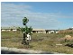17 Tuckeroo Drive, Meridan Plains QLD 4551