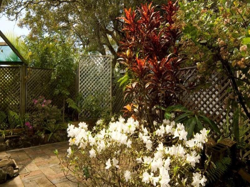 48 Macdonald Street, Dicky Beach QLD 4551