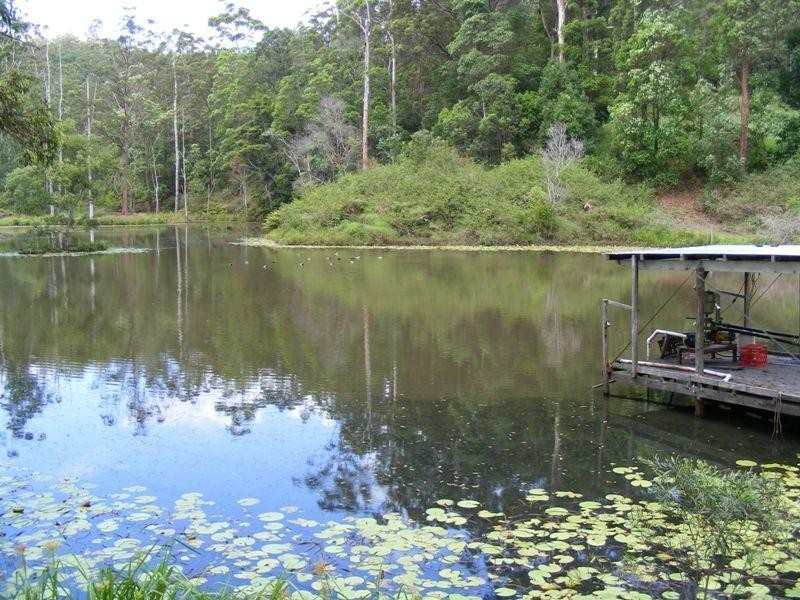 Mooloolah Valley QLD 4553