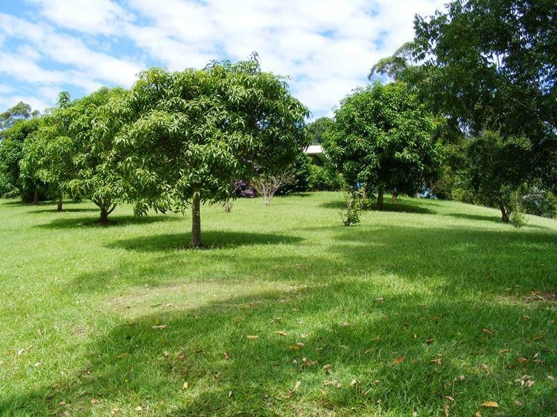 Mooloolah Valley QLD 4553