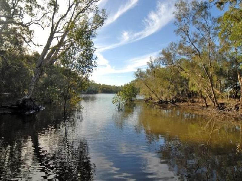 10 Brushwood Street, Currimundi QLD 4551