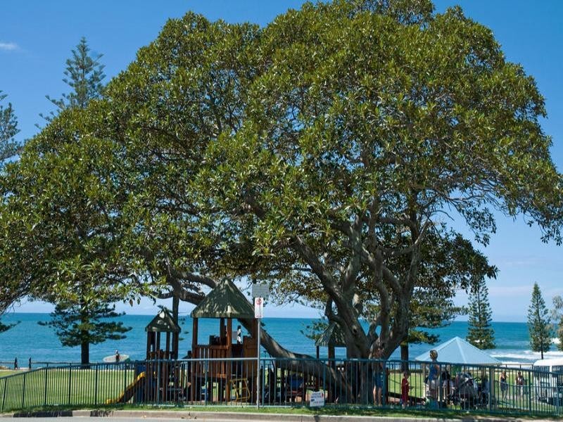 42 Seaview Terrace, Moffat Beach QLD 4551