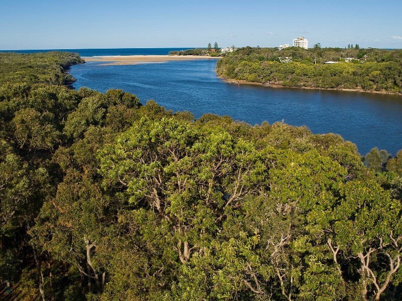 31 Mandara Drive, Wurtulla QLD 4575