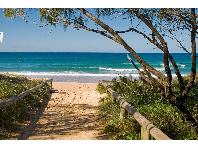 31 Mandara Drive, Wurtulla QLD 4575