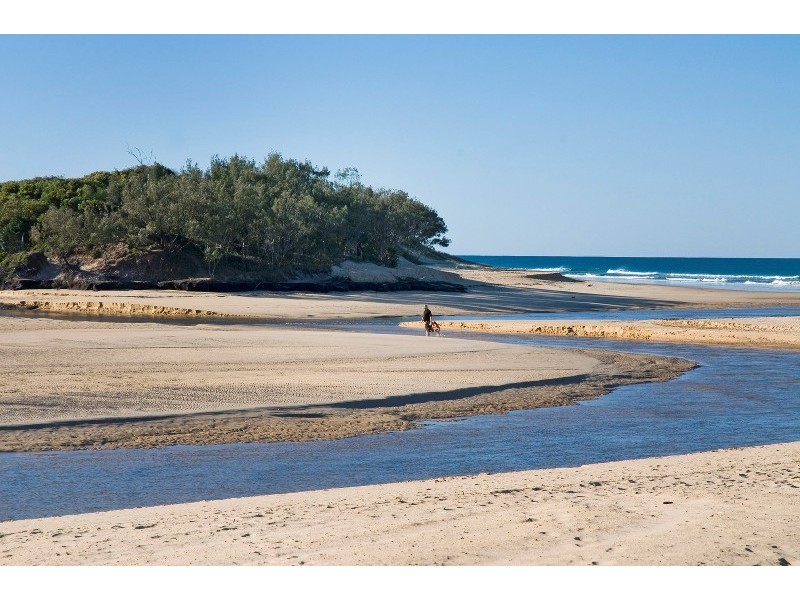 31 Mandara Drive, Wurtulla QLD 4575