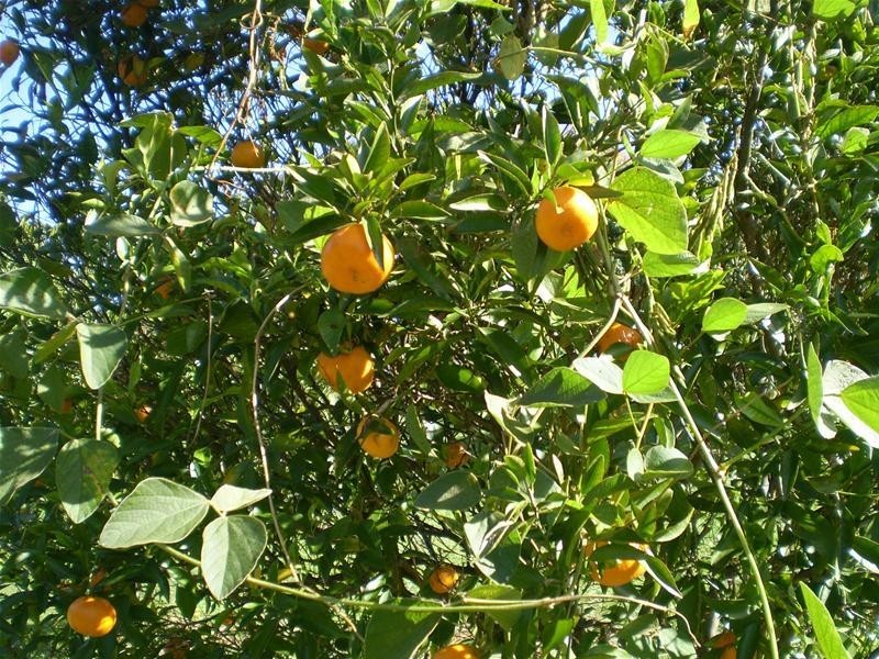 Currumbin Waters QLD 4223