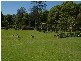 Currumbin Valley QLD 4223