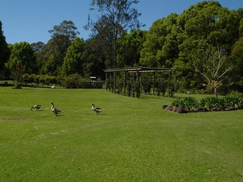Currumbin Valley QLD 4223