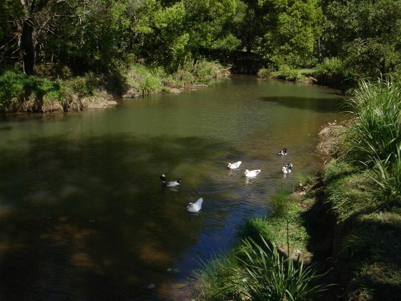 Currumbin Valley QLD 4223