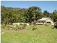 Currumbin Valley QLD 4223