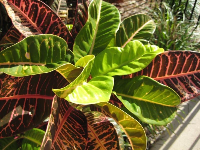 9/2104 Gold Coast Highway, Miami QLD 4220