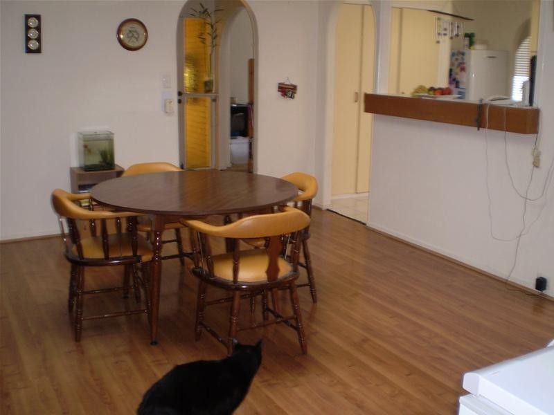 8 Eucalypt Street, Palm Beach QLD 4221