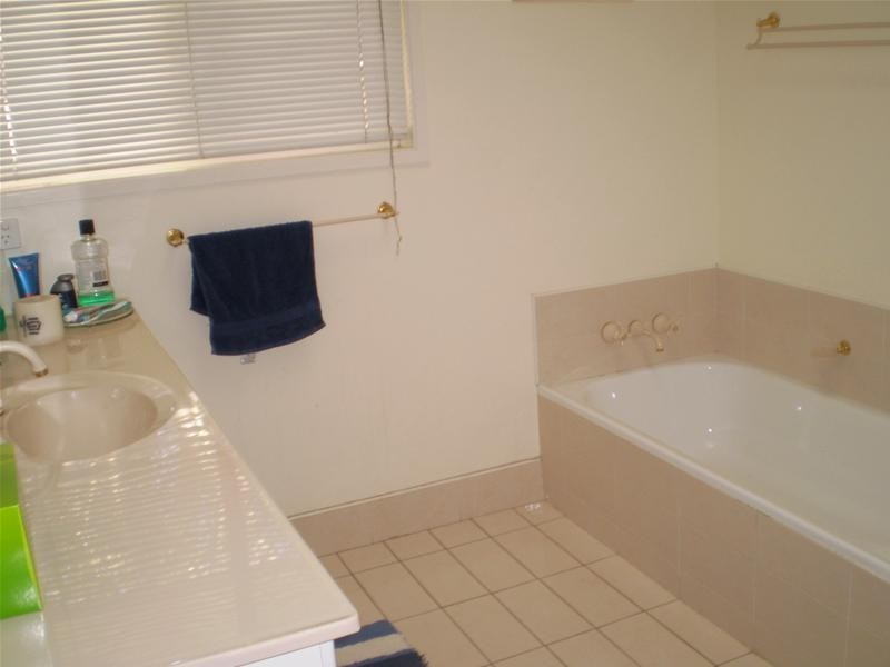 8 Eucalypt Street, Palm Beach QLD 4221