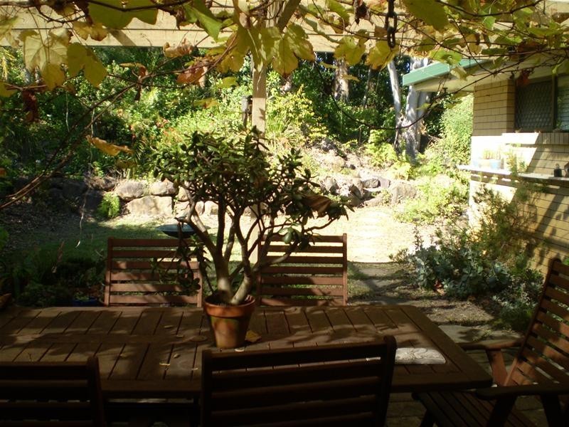 8 Eucalypt Street, Palm Beach QLD 4221