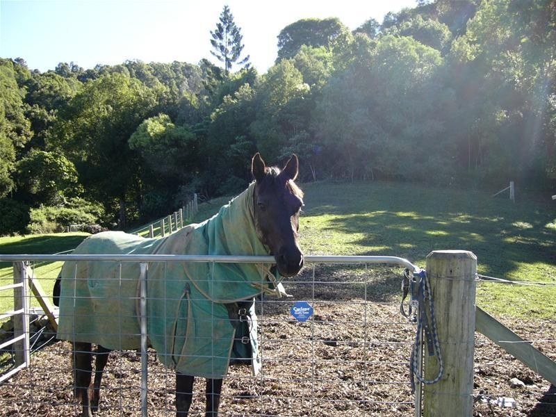 Currumbin Valley QLD 4223