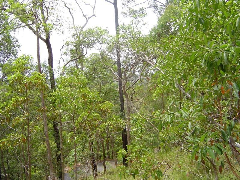 Currumbin Waters QLD 4223