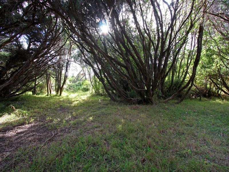 27 Banyan Street, St Andrews Beach VIC 3941