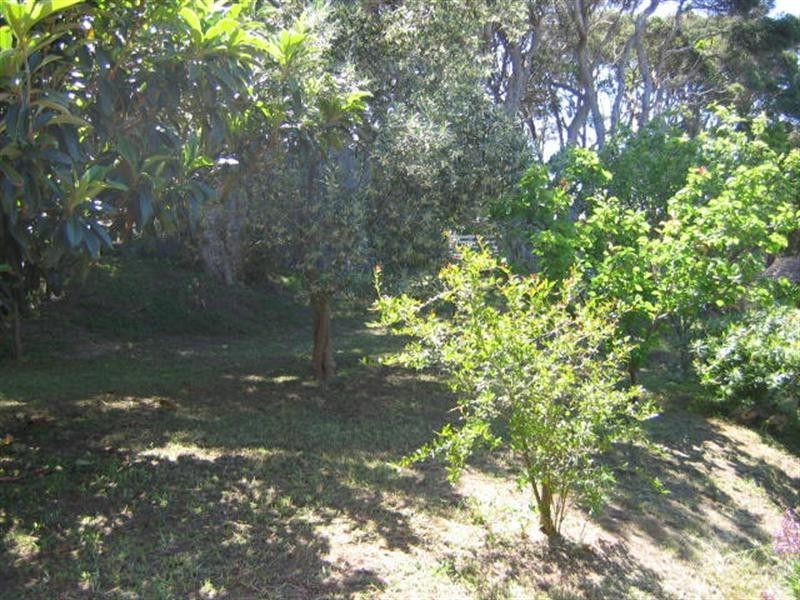 25 Walbrook Road, Rye VIC 3941