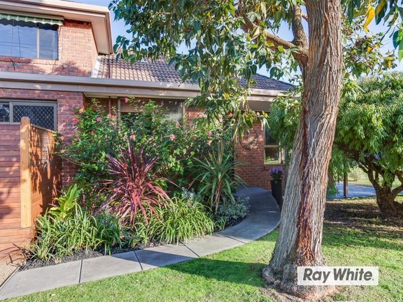 41 Williamson Street, Tootgarook VIC 3941