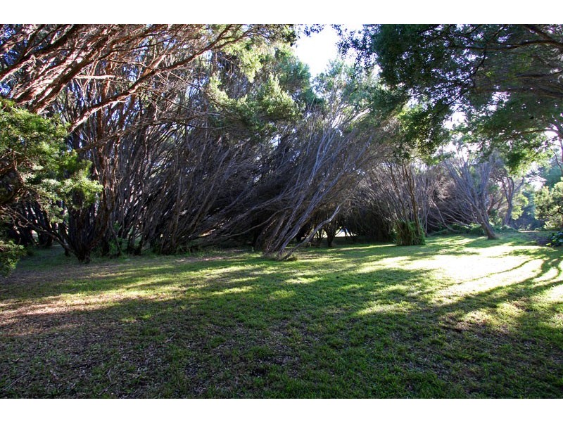 521 Dundas Street, St Andrews Beach VIC 3941