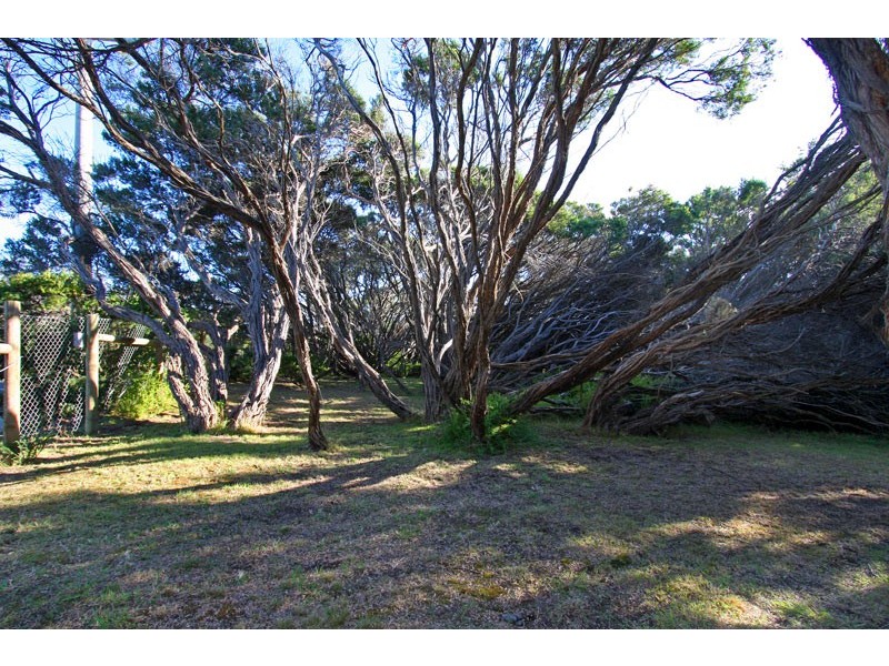 521 Dundas Street, St Andrews Beach VIC 3941