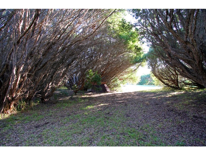 521 Dundas Street, St Andrews Beach VIC 3941