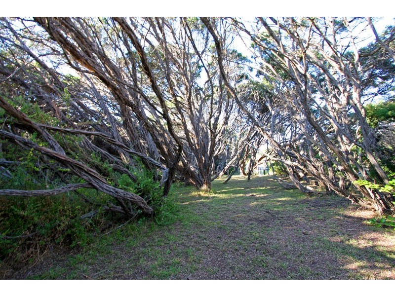 521 Dundas Street, St Andrews Beach VIC 3941