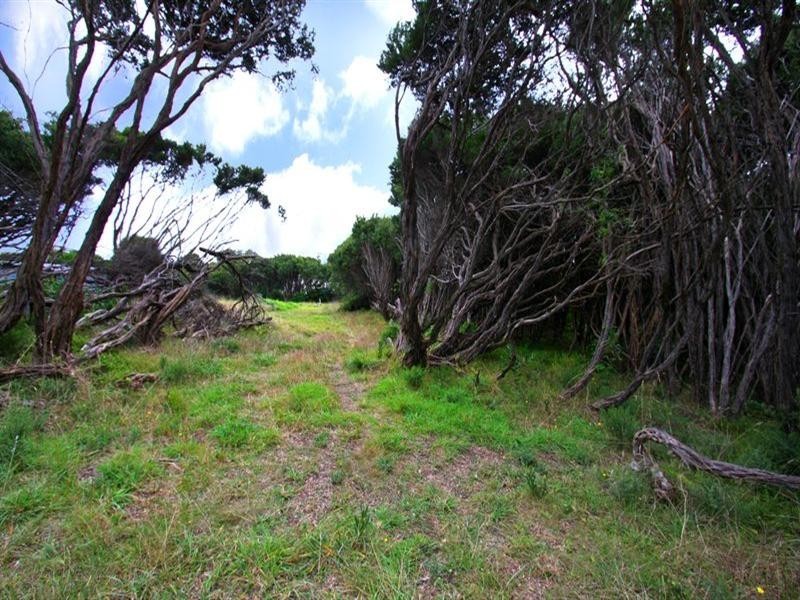 523 Dundas Street, St Andrews Beach VIC 3941