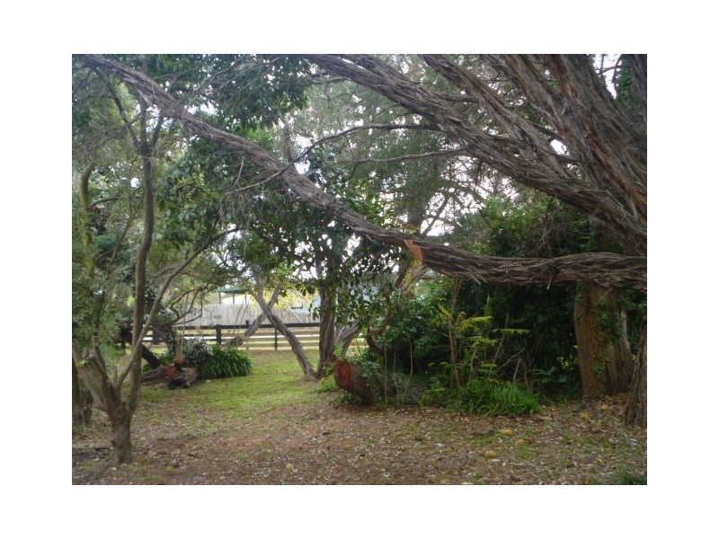 1 Williamson Street, Tootgarook VIC 3941